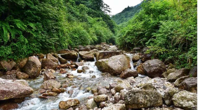 水性色浆 水性色浆
